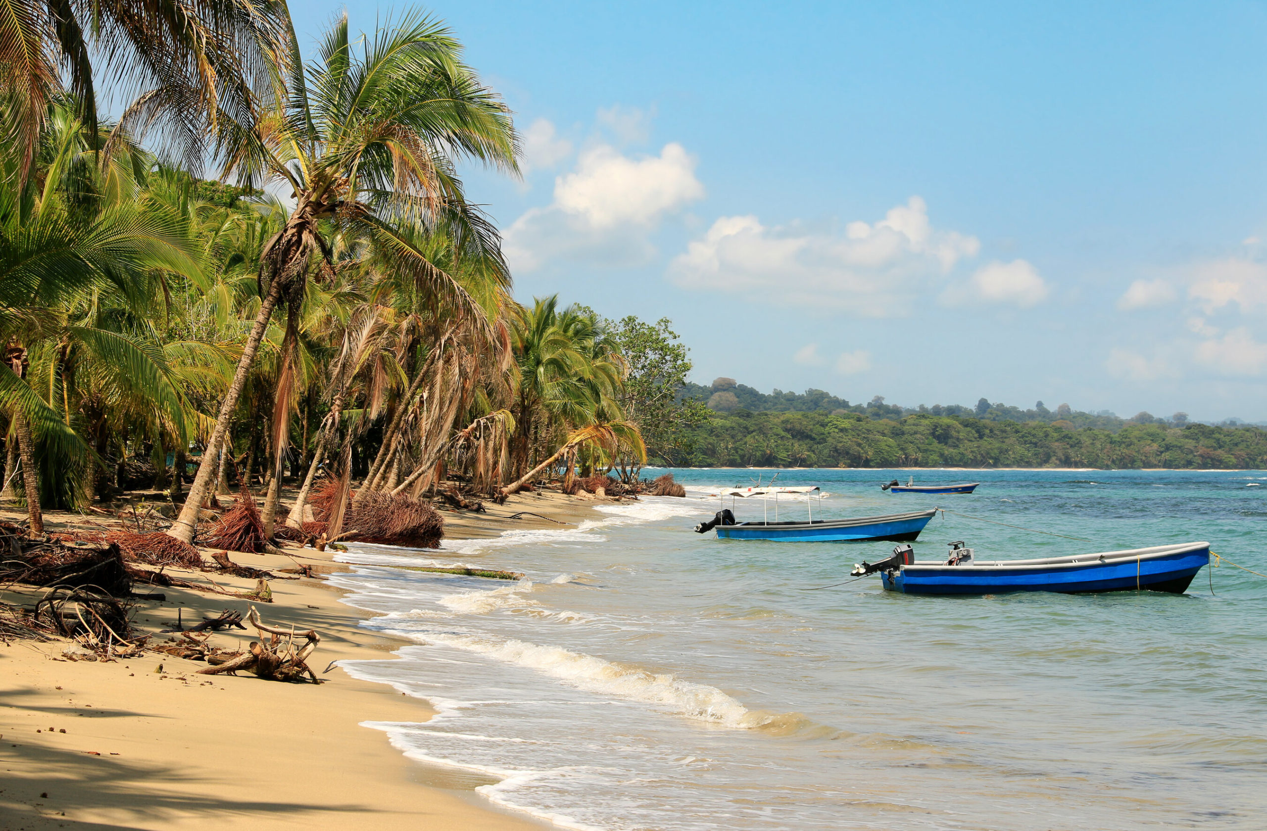 Beautiful beach in Costa Rica (Caribbean Sea)